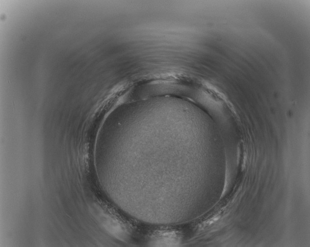 X0000066950260200603311449