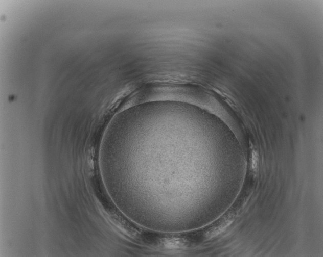 X0000066950264200603311449