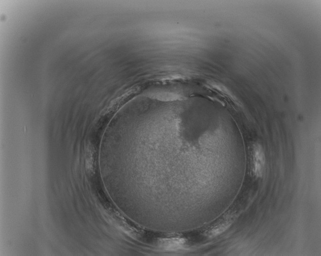 X0000066950266200603311449