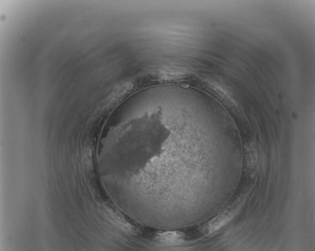 X0000066950269200603311450