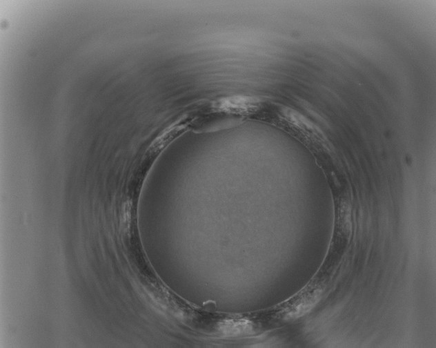 X0000066950271200603311450