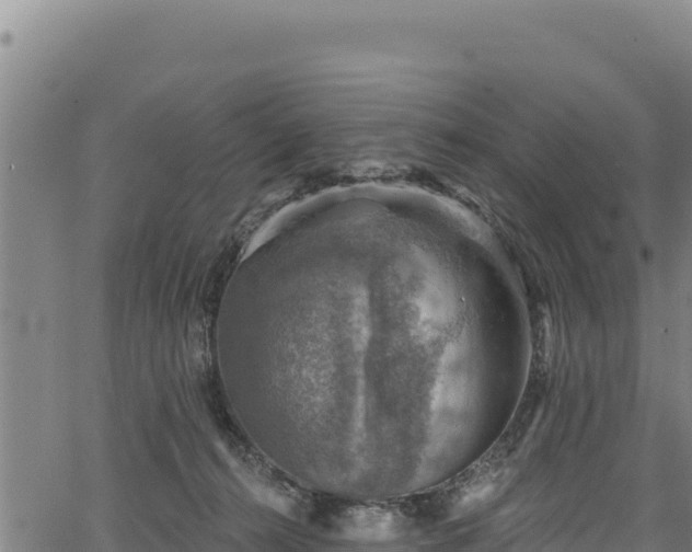 X0000066950272200603311450