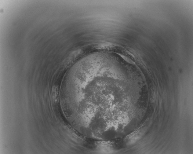 X0000066950273200603311450