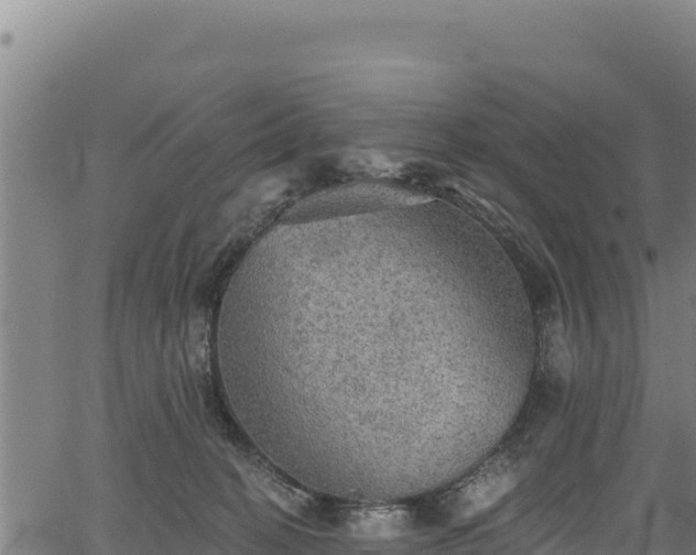 X0000066950274200603311450