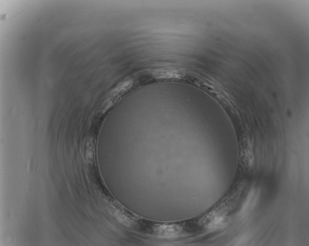 X0000066950277200603311450