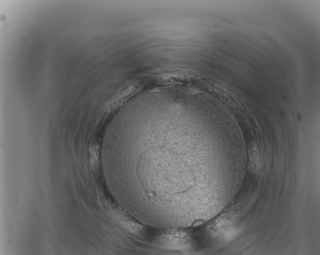 X0000066950278200603311450