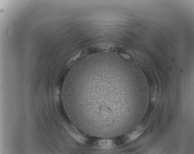 X0000066950279200603311450