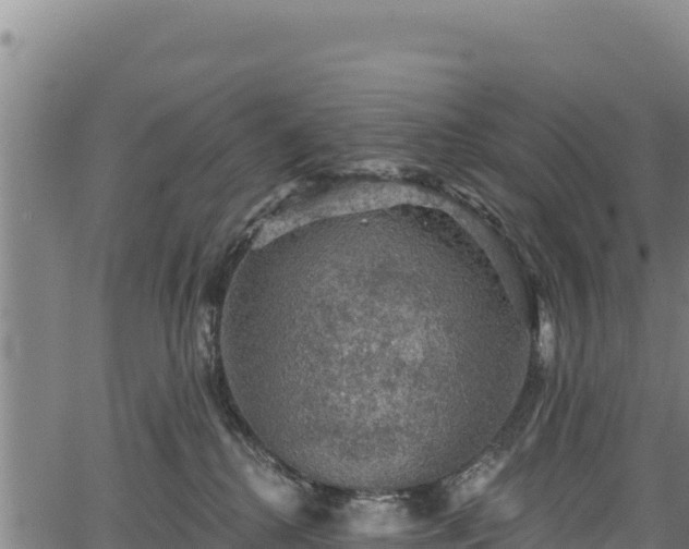 X0000066950280200603311450