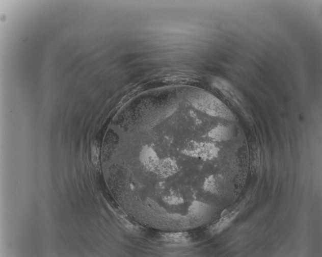 X0000066950281200603311450