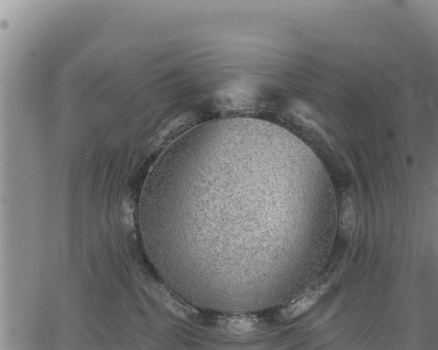 X0000066950282200603311450