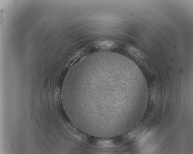 X0000066950283200603311450