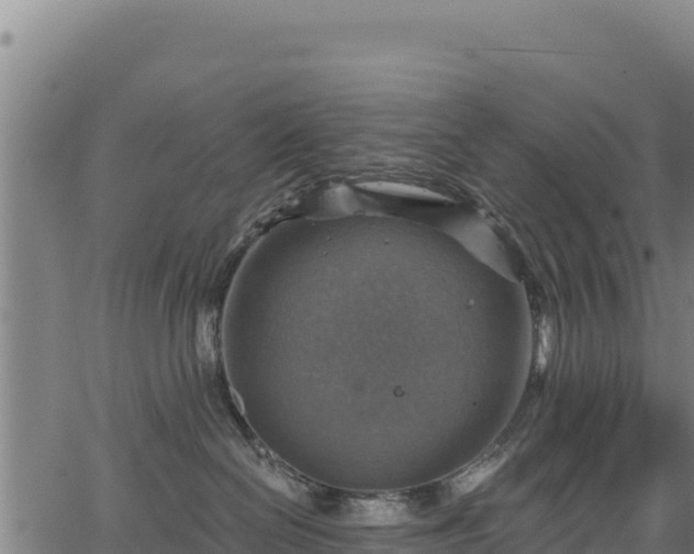 X0000066950286200603311450