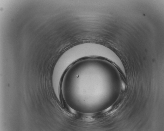 X0000066950287200603311450