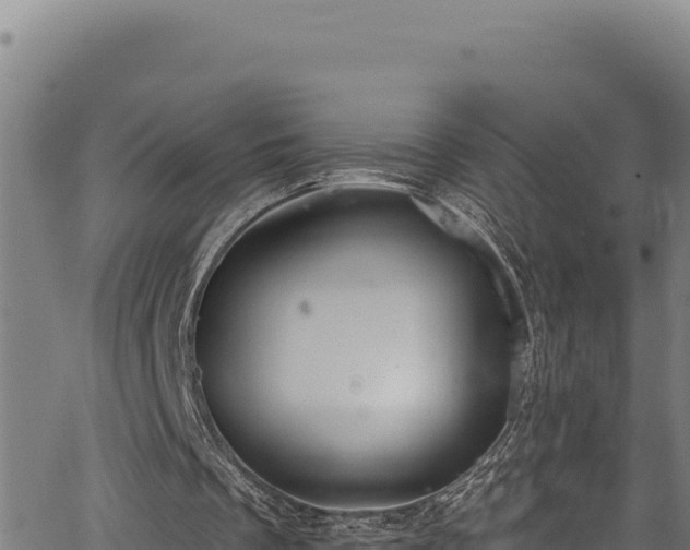 X0000066950289200603311449