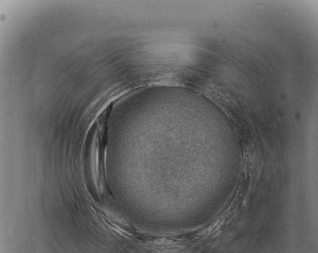 X0000066950290200603311449