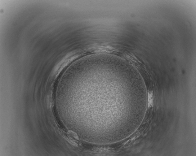 X0000066950291200603311449