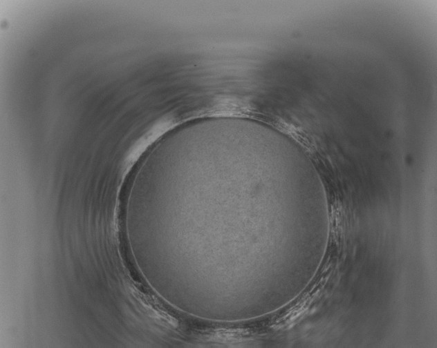 X0000066950292200603311449