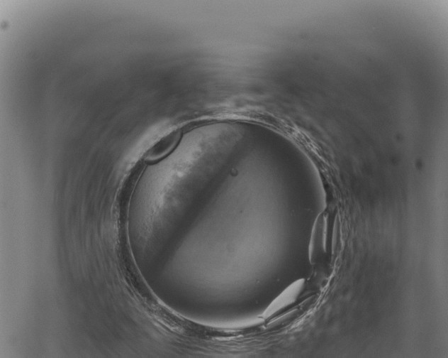 X0000066950295200603311449