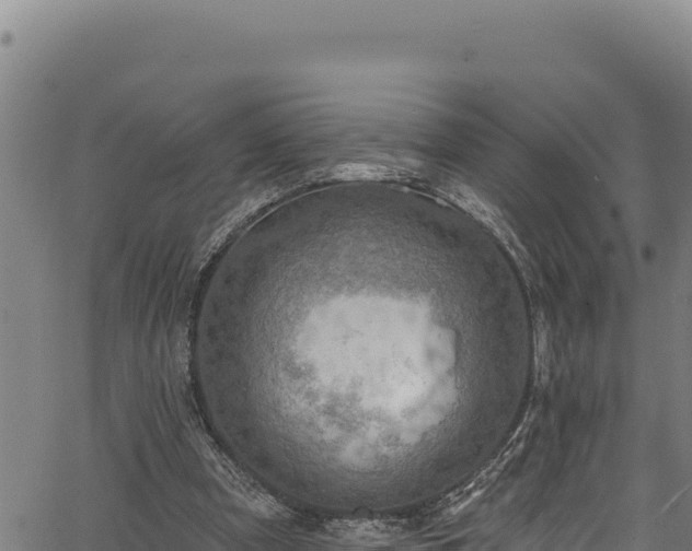 X0000066950297200603311449