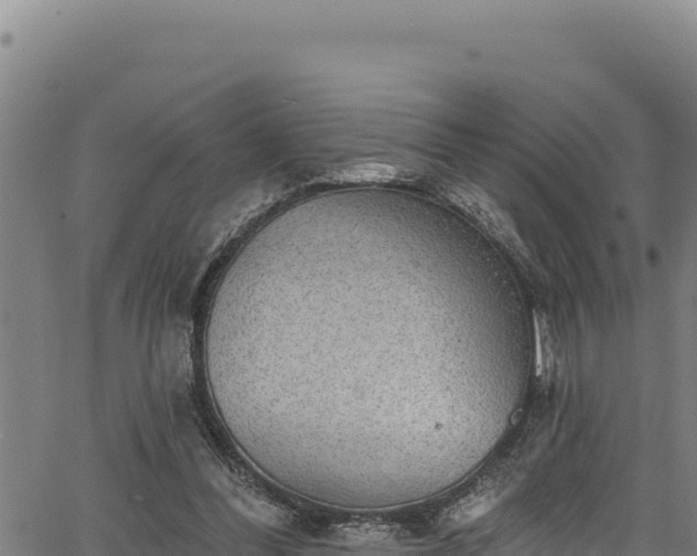 X0000066950300200603311449