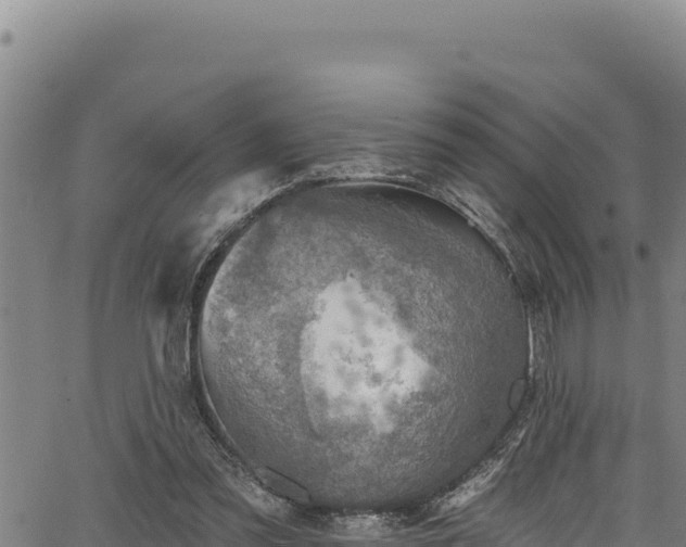 X0000066950301200603311449