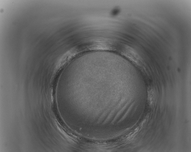 X0000066950302200603311449