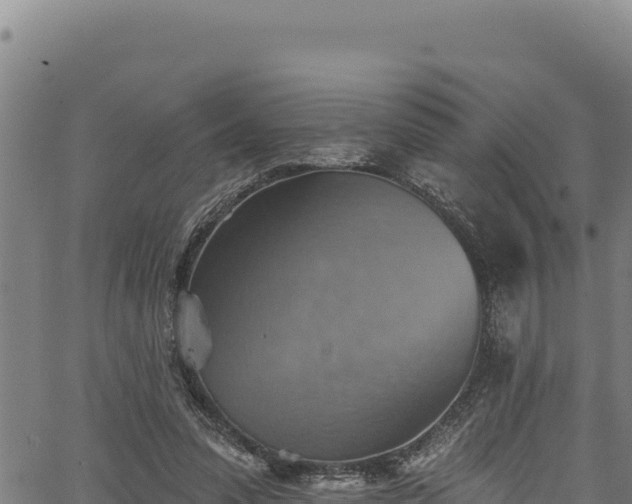 X0000066950303200603311449