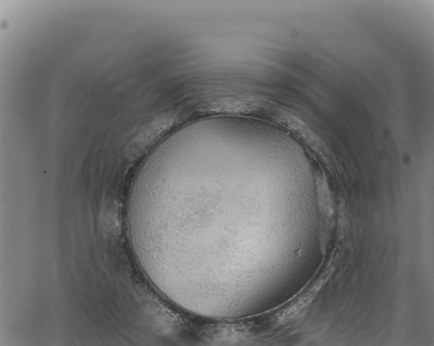 X0000066950305200603311449