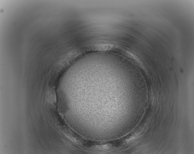 X0000066950307200603311449