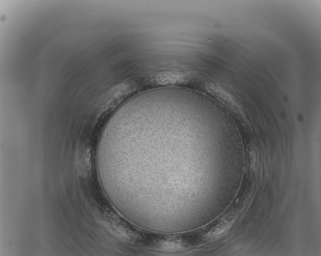 X0000066950308200603311449