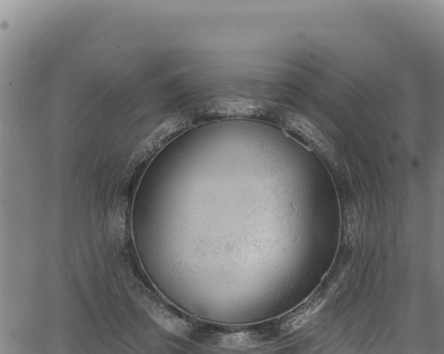 X0000066950309200603311449