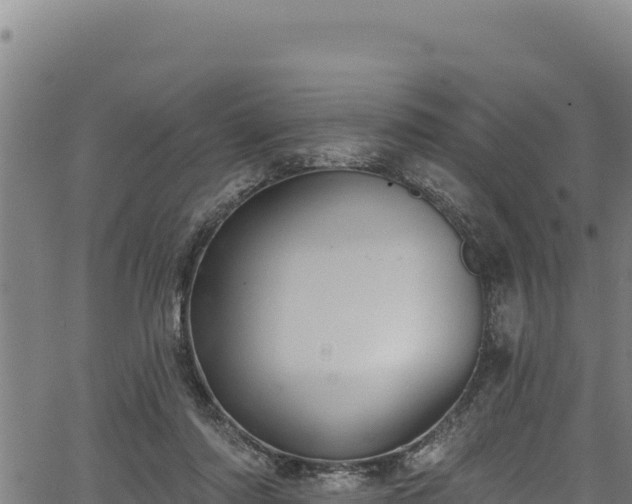 X0000066950310200603311449