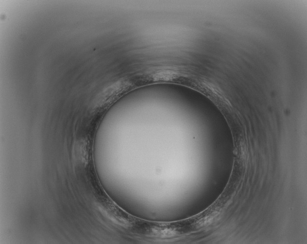 X0000066950311200603311449