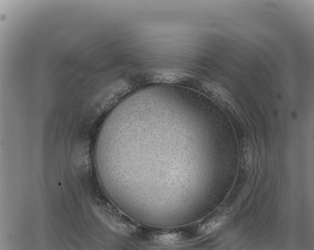 X0000066950312200603311449