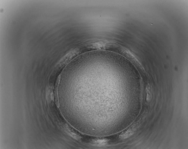 X0000066950313200603311449