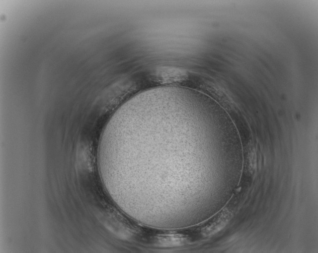 X0000066950316200603311449