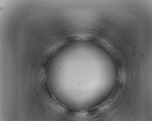 X0000066950318200603311449