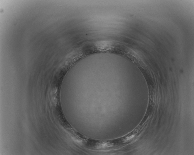 X0000066950319200603311449