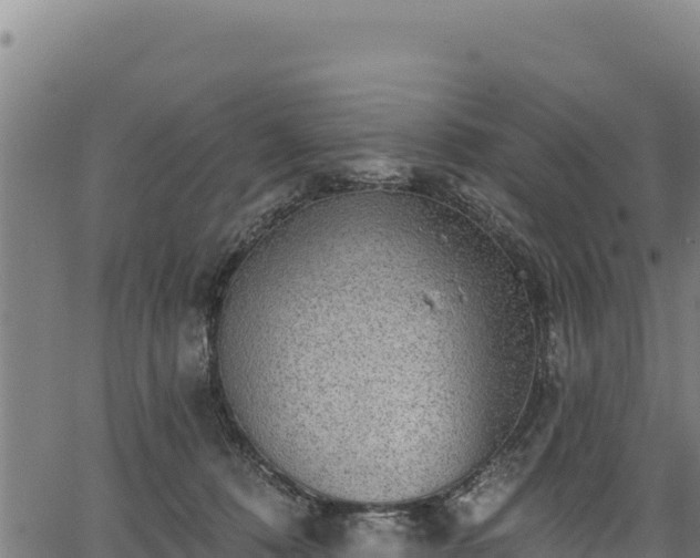 X0000066950320200603311449