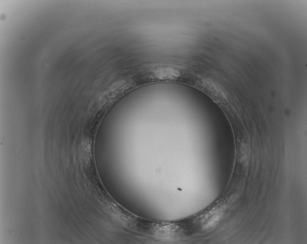 X0000066950321200603311449