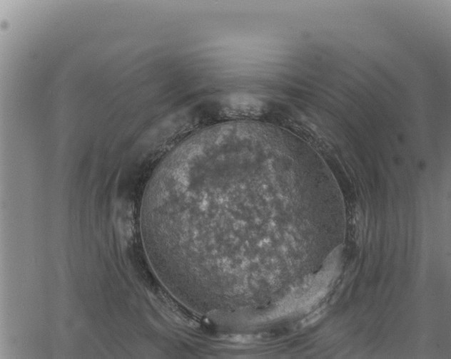 X0000066950323200603311448