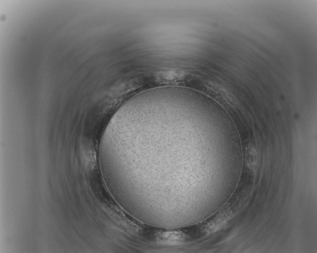 X0000066950324200603311448