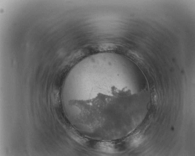 X0000066950327200603311448