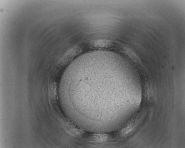 X0000066950328200603311448