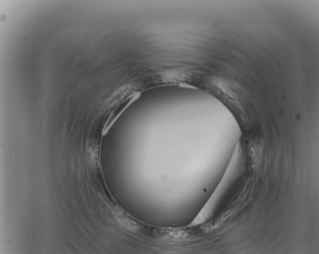 X0000066950329200603311448