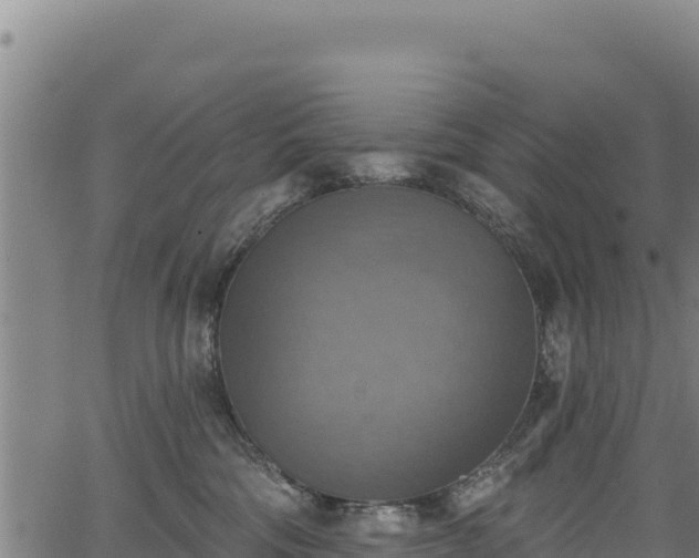 X0000066950330200603311448