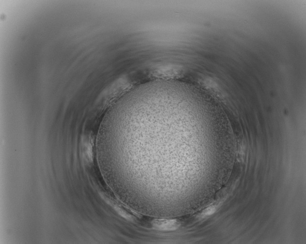 X0000066950334200603311448