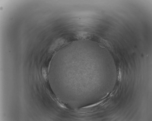 X0000066950335200603311448