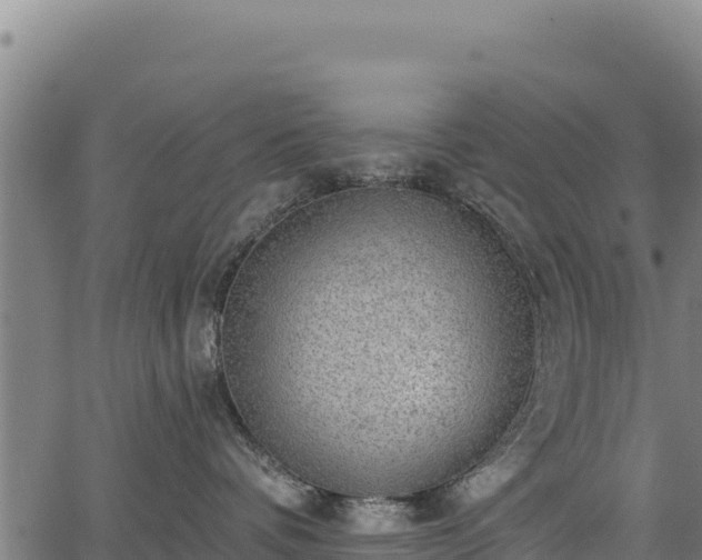 X0000066950336200603311448