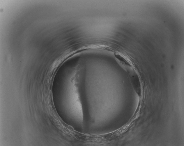 X0000066950337200603311447